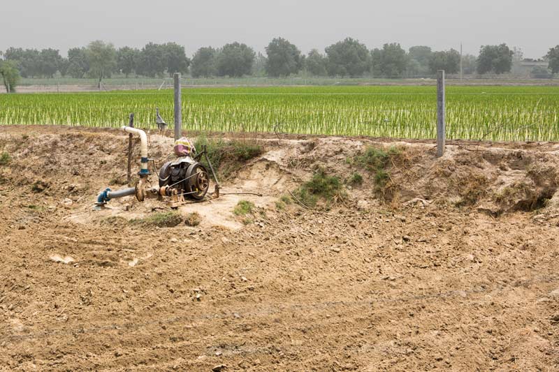 Impact of Green Revolution on Water Resources in India - tubewell used for raising paddy crop on desert soil in Fazilka district, Punjab